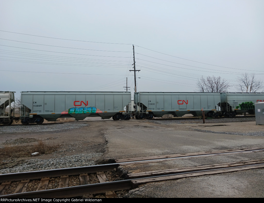 CN 113809 & CN 113830